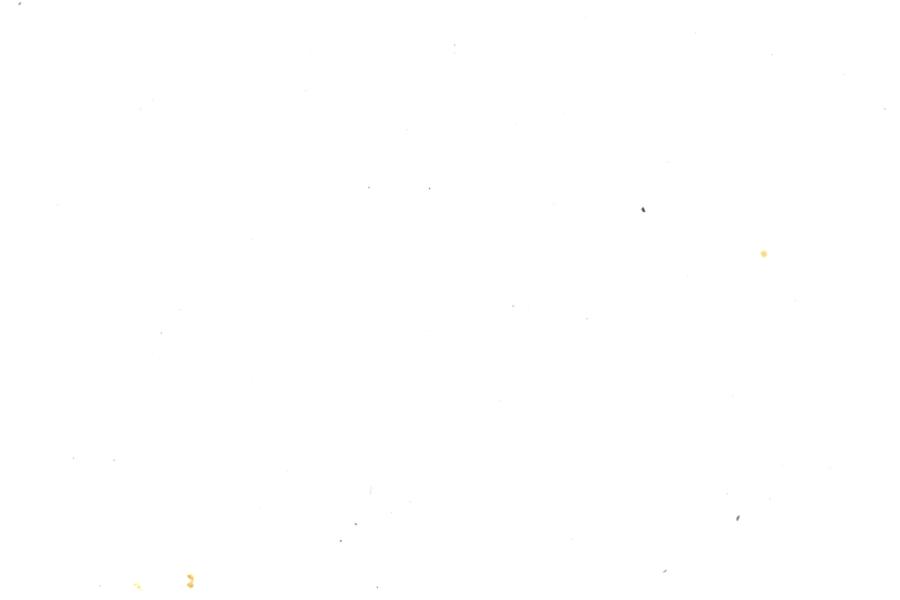 Image 135